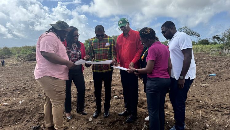 Gillards Meadows will officially be the third housing cluster launched